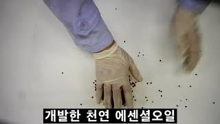 더닥터페이스 자연 유래 향료 (합성향료는 싫어요.)