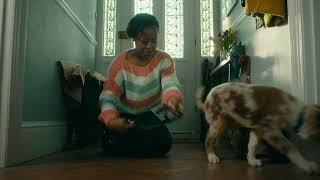 Pets at Home Puppy & Kitten club - TV advert - September 2021