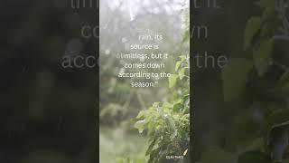Best Rain quote by Rumi| #rumi #rain #inspiration #spiritualjourney #motivation #rumitimes #foryou