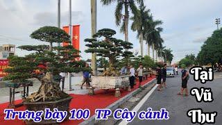 Hàng 100 TP Cây cảnh xuất sắc  được trưng bày tại hội chợ Ocop huyện Vũ Thư