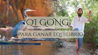 Qi Gong - Ser un Grulla y mejorar el EQUILIBRIO