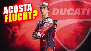 Acosta zu Ducati? MotoGP-Entwicklungsstopp? Was bei KTM wirklich los ist!