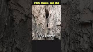 요괴가 갇혀있는 절벽 동굴