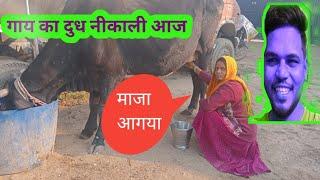 #Cow milking | आज पहली बार गाय का दूध नीकाली | #prem asha family vlogs #dallyvlog #villagevlog