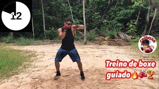 Treino de boxe guiado