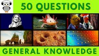 General Knowledge Quiz Trivia #206 | Adele, Salamander, Sesame Street, Formicarium, Chemical Element
