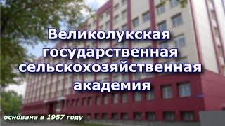 60 лет Великолукской ГСХА. История образования академии. Короткометражный фильм