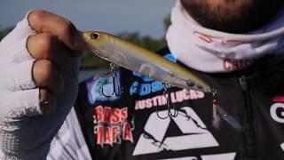 Berkley Topwaters - J-Walker (Pro Fishing Tips with Justin Lucas)