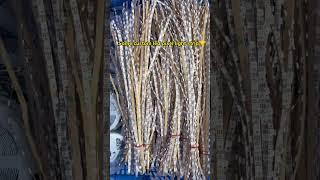 Exceellent Custom LED Strip Lighting Solutions by SuperlightingLED - superlightingled