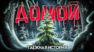 ДОМОЙ | ТАЁЖНАЯ ИСТОРИЯ | Новогоднее чудо