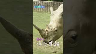 대형 초식동물 친구들 대동물관!