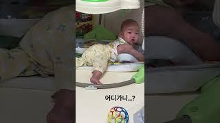 어디든 들어가고보는 아들래미 #육아브이로그 #육아 #육아일상 #육아소통 #6개월