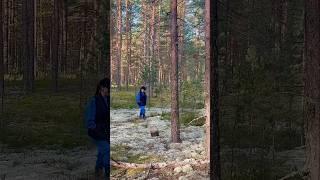 Грибник ВКЛЮЧИЛ ПРОПЕЛЛЕР и НАЧАЛОСЬ! Сказочная Карелия