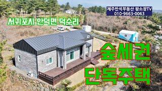 [매물번호 250311] 추천드리고 싶은 숲세권 단독주택 입니다. / 서귀포시 안덕면 덕수리