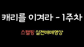 캐리를 이겨라 1주차 실전매매영상 (1)