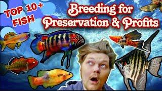 10+ Fish to Improve Your Fishkeeping Skills: Breeding for Profit or Preservation Made Easy!