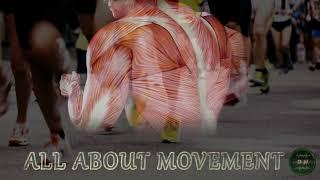 ALL ABOUT MOVEMENT - Bones, Joints, Tendons, Ligaments, Cartilage, Muscles