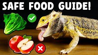 Bearded Dragon Safe Food!