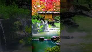 Beautiful scenery  #scenery #nature #relaxationvideo