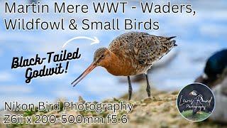 Martin Mere WWT - UK Bird Photography with Nikon Z6ii - Godwits, Wildfowl & Small Birds