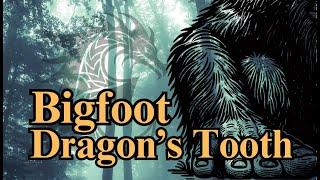 Bigfoot Dragon’s Tooth What happened that day along the Appalachia Trail