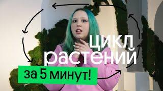 ЦИКЛ РАСТЕНИЙ ЗА 5 МИНУТ! | ОГЭ по биологии