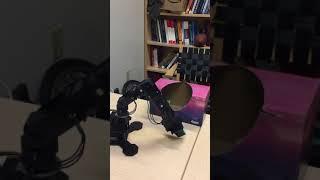 Trossen Robotics Arm