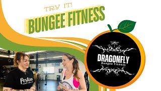 Dragonfly Bungee Fitness