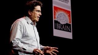 Your brain is more than a bag of chemicals - David Anderson