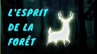 L'esprit de la forêt - VISUALISATION GUIDÉE - Le Cocon de Coton