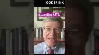 Jeffrey Sachs on NATO Expansion #shorts