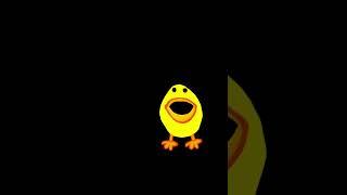 Chicken aaaaaaaaaaaaa