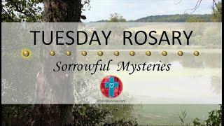 Tuesday Rosary • Sorrowful Mysteries of the Rosary  October 22, 2024 VIRTUAL ROSARY - MEDITATION