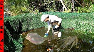 BUILDING My PET STINGRAYS a BACKYARD RISING STREAM in the RIVER!