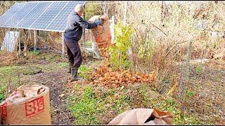 No-Till Deep Mulch for Garden Creation (using leaf bags!)