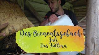 Das Füttern | Das Mellifera-Bienentagebuch | Juli