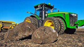 Picking HUGE ROCKS