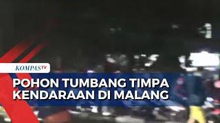 Pohon Tumbang Timpa Kendaraan di Malang, 2 Orang Tewas