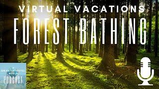 Virtual Vacations: A Peaceful Forest Bathing Session | SmarterTravel