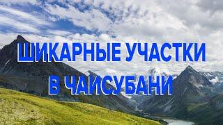 ШИКАРНЫЕ УЧАСТКИ В ЧАИСУБАНИ | ПЕРЕЕЗД В ГРУЗИЮ | ЧАКВИ |НЕДВИЖИМОСТЬ В ГРУЗИИ #Грузия #Батуми