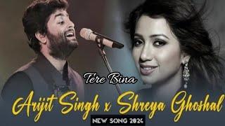 Tere Bina - Arijit Singh & Shreya Ghoshal Song ! New Hindi Bollywood Songs 2024 ️ !