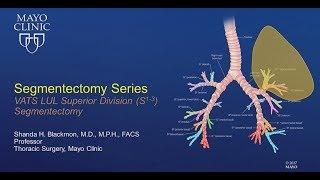 VATS Segmentectomy