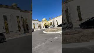 IAGD #mosque #rochesterhills