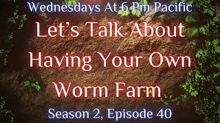 Let’s Talk About Having Your Own Worm Farm