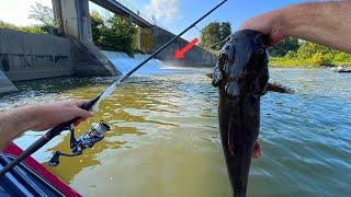 Cooking Any Fish I Can Catch Under this Dam!!