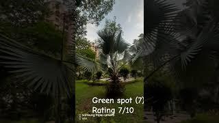 Green spot 7