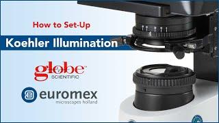 How to Set Up Koehler Illumination