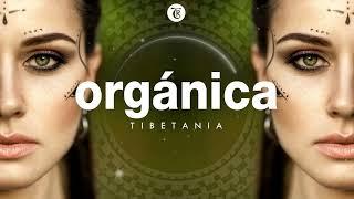 ORGANICA MIX l Finest Organic & Ethno Deep House Music by Tibetania