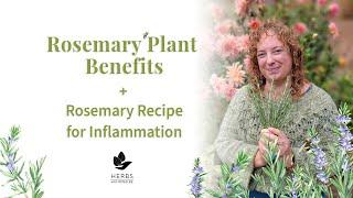 Rosemary Plant Benefits + Rosemary Recipe for Inflammation