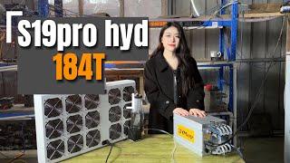 This Antminer S19pro hyd 184T can get more bitcoin rewards